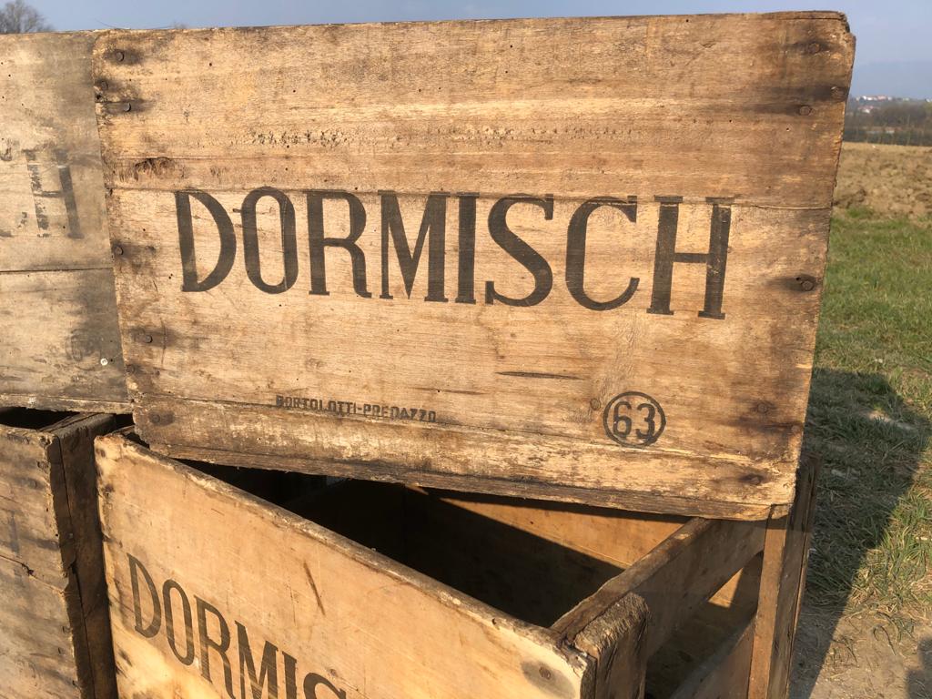 Dormisch