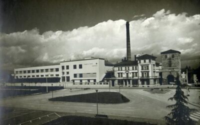 Dormisch, la storia raccontata dai figli dell’azienda