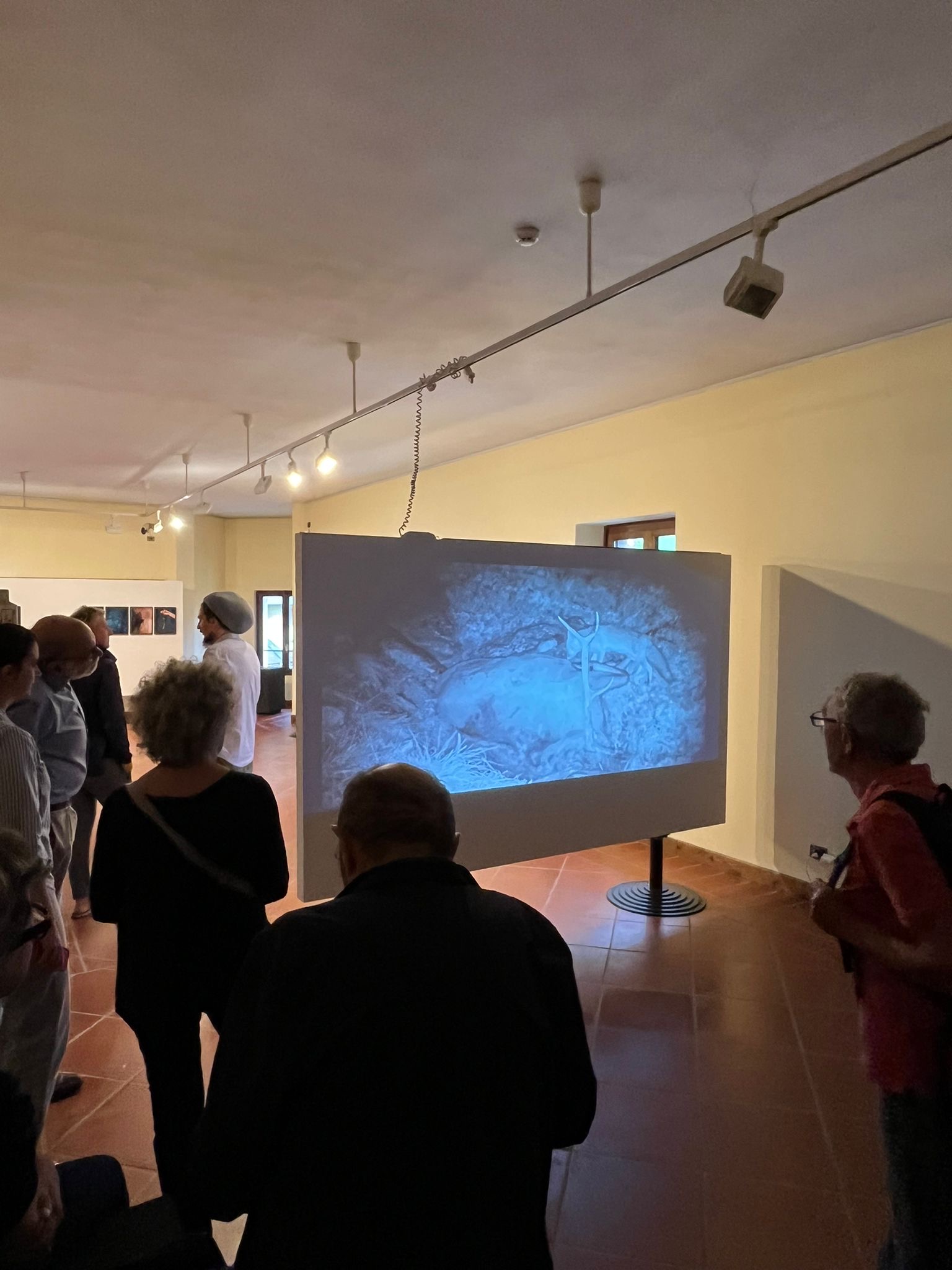 93bcdda0-1f1f-44b1-a103-ecdfd090556c