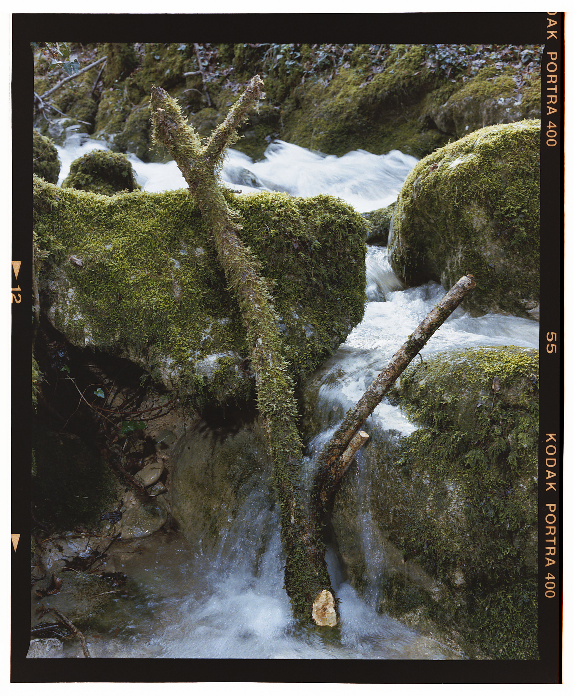 Fotografia artistica